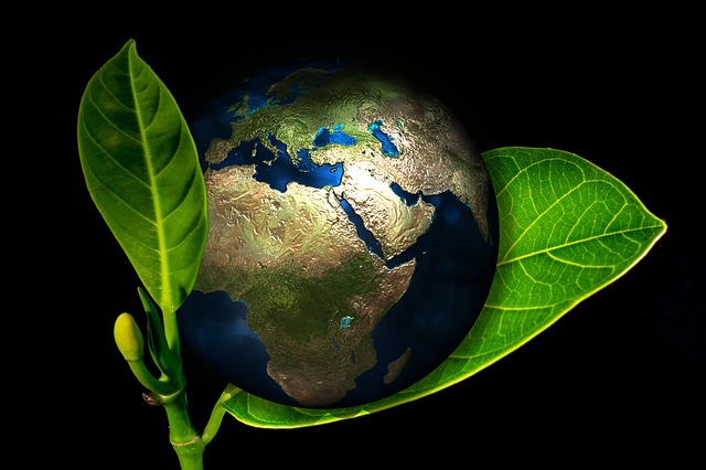 地球と環境